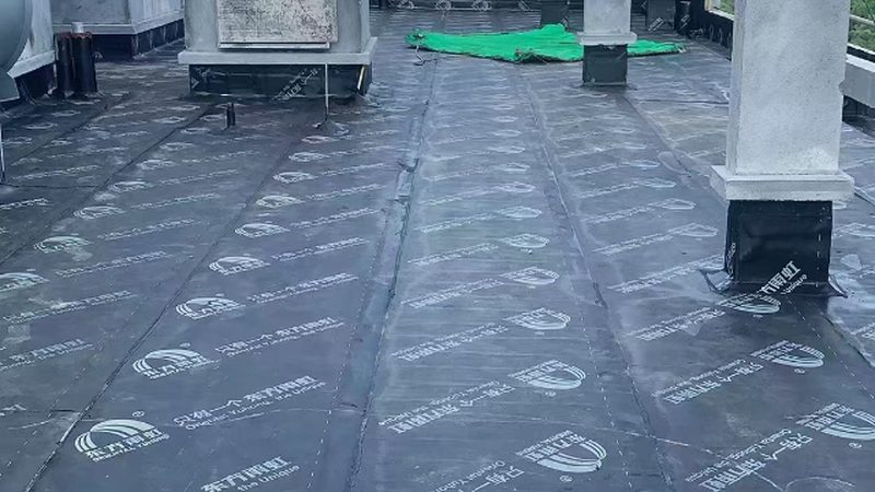 隧道防水工程包工包料：揭秘关键技术与选择要点**